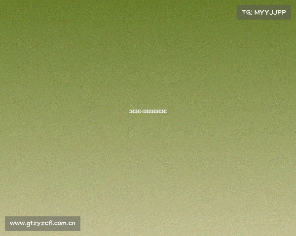 南亚杯赛事-南亚足球联合会锦标赛