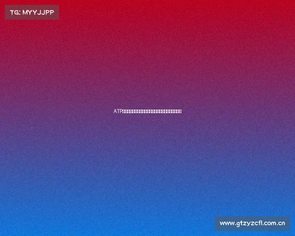 ATP网球赛事冠军奖金深度剖析高额回报激励选手拼搏之路